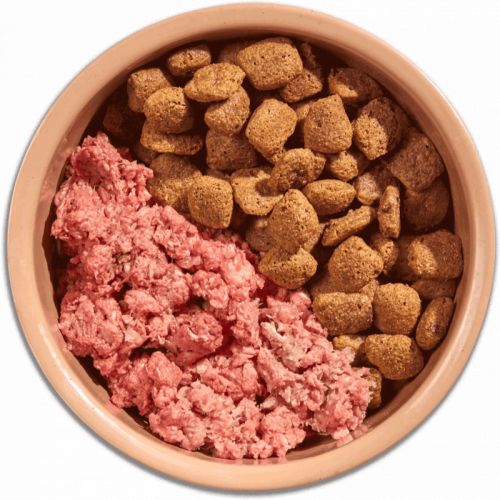 Mighty Mixer With Turkey & Oats