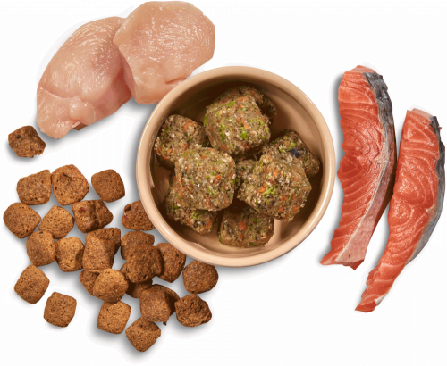 Fruit and Vegetable Nuggets