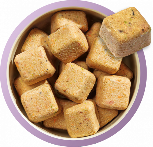 Puppy Turkey and Fish